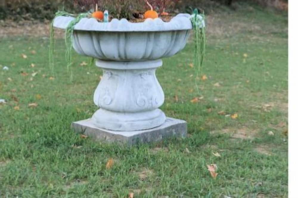 Photo of Outdoor in Rockbridge Baths