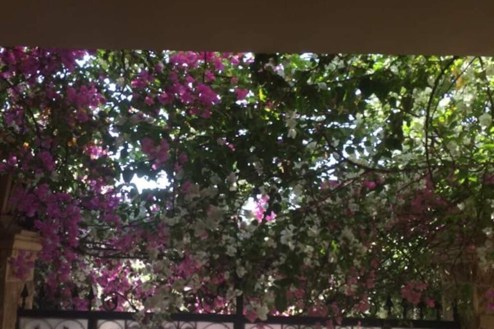 Photo of Outdoor in The 5th Settlement