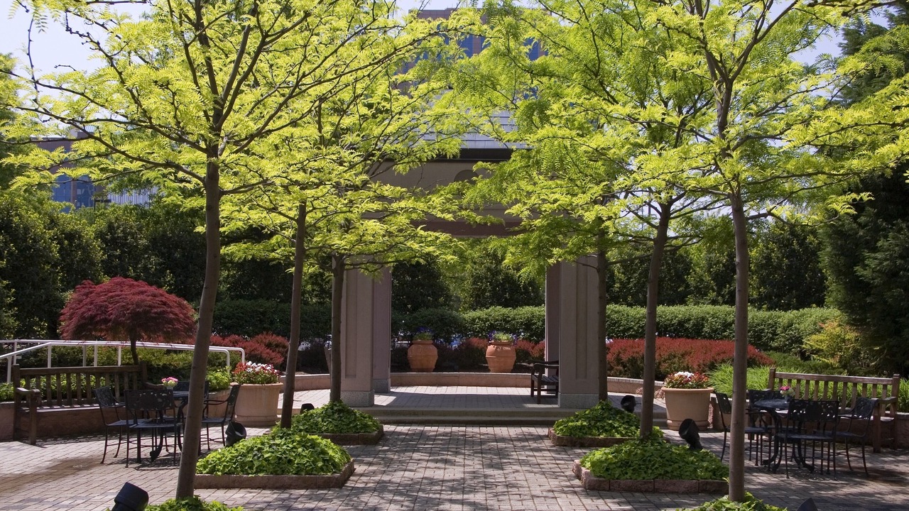 Photo of Outdoor in Herndon