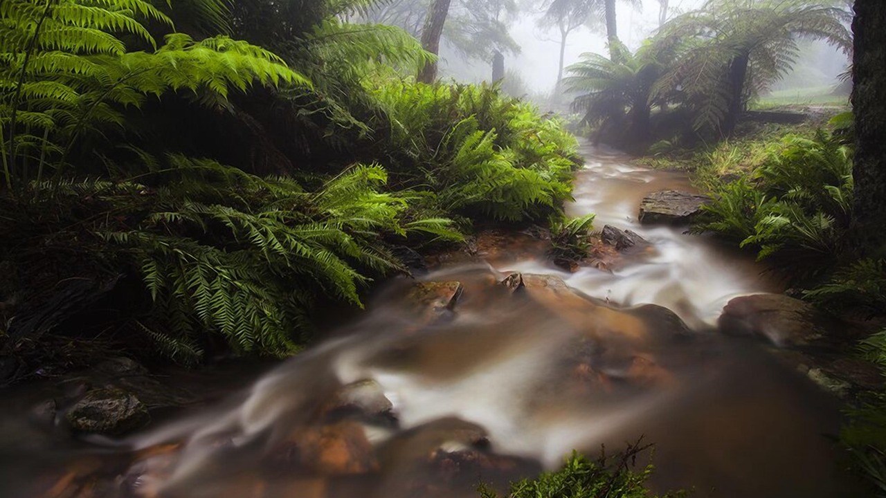 Photo of Others in Katoomba