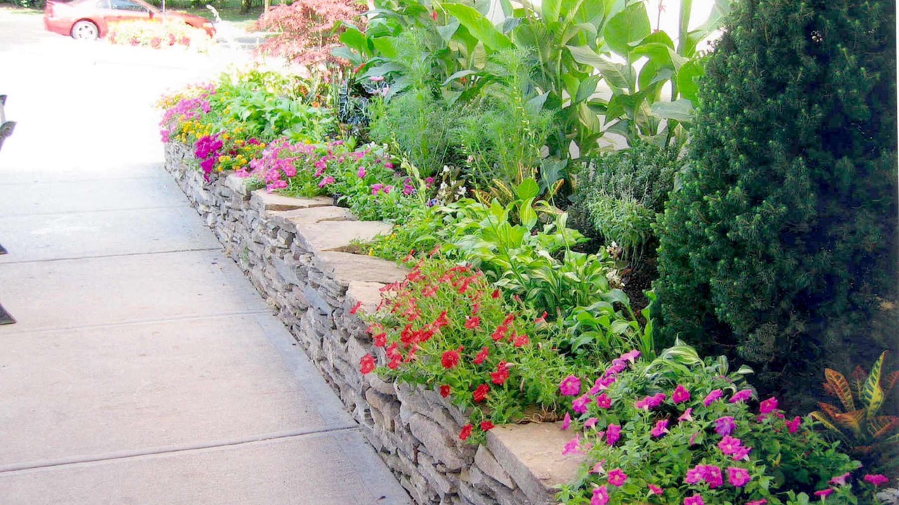 Photo of Outdoor in Commack