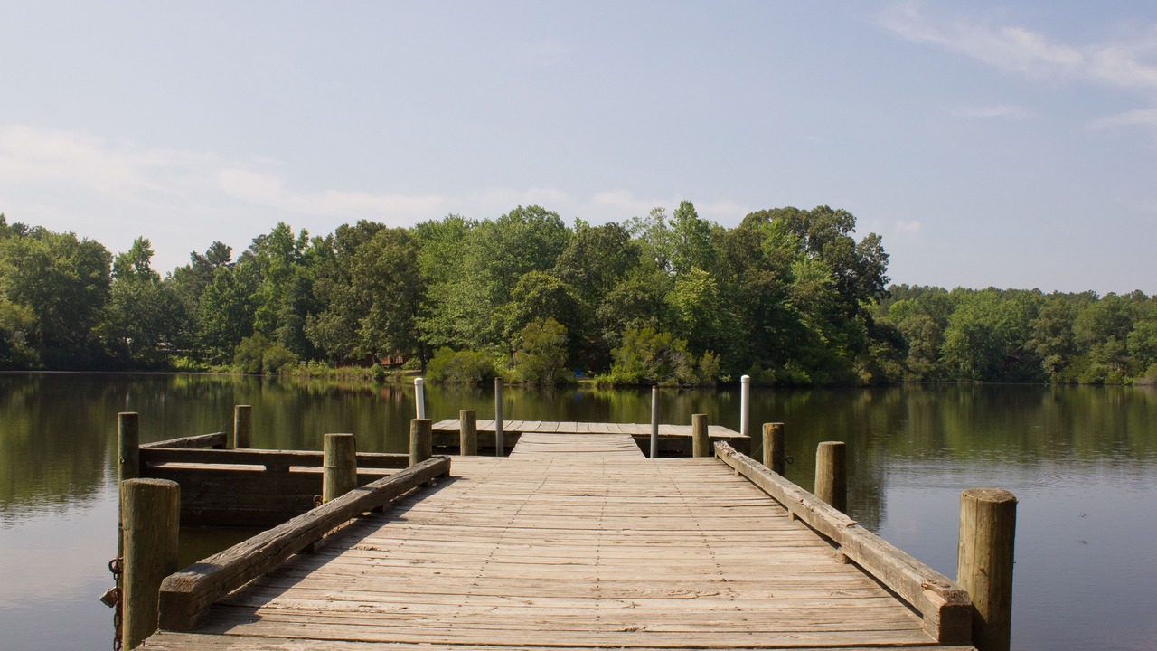 Photo of Outdoor in Petsworth