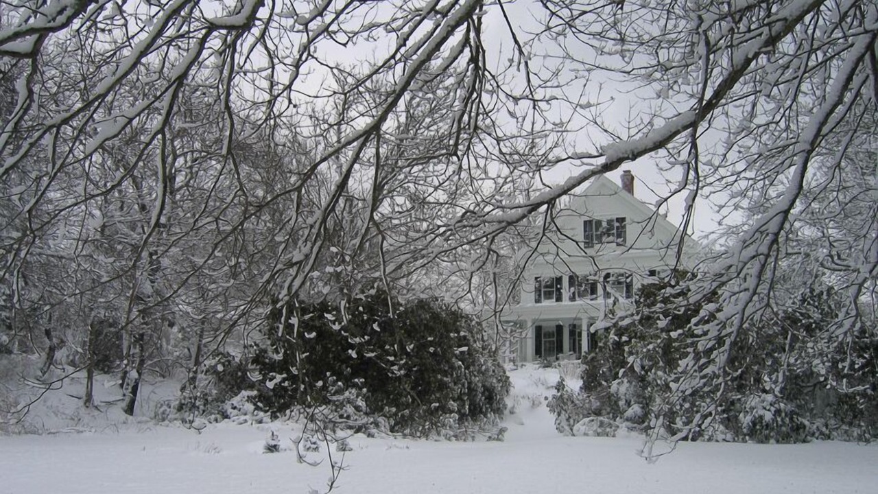 Photo of Outdoor in Yarmouth Port