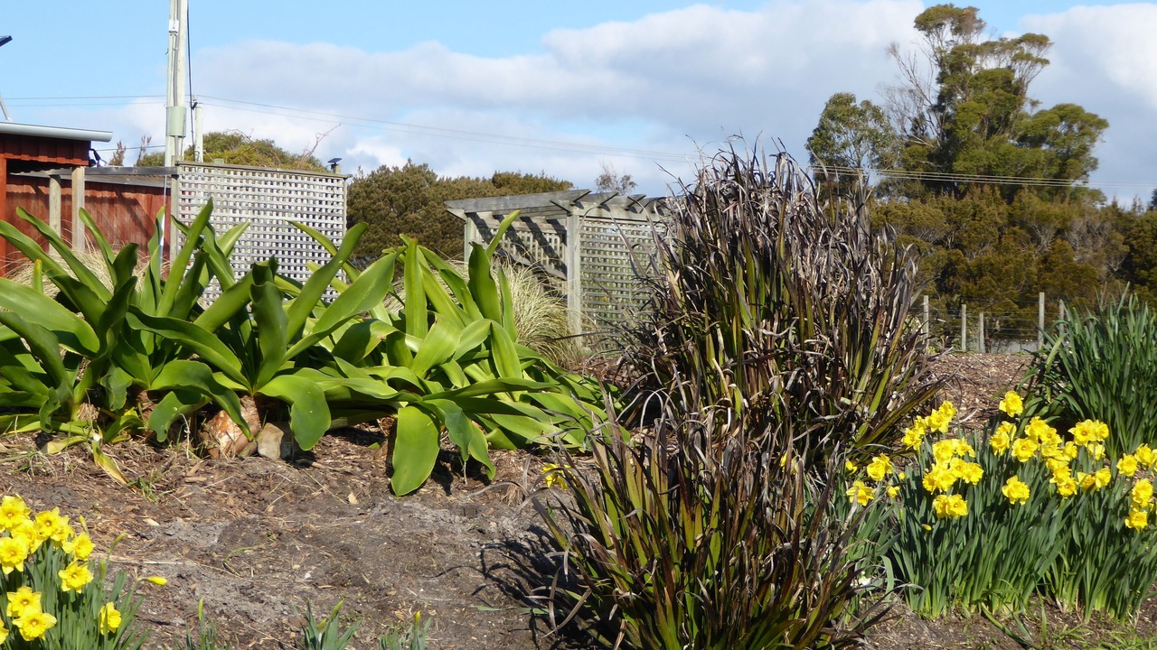 Photo of Outdoor in Bridport