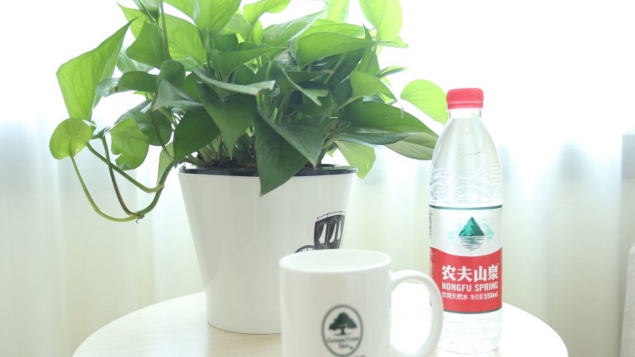 Photo of Bedroom in Jinnan Qu