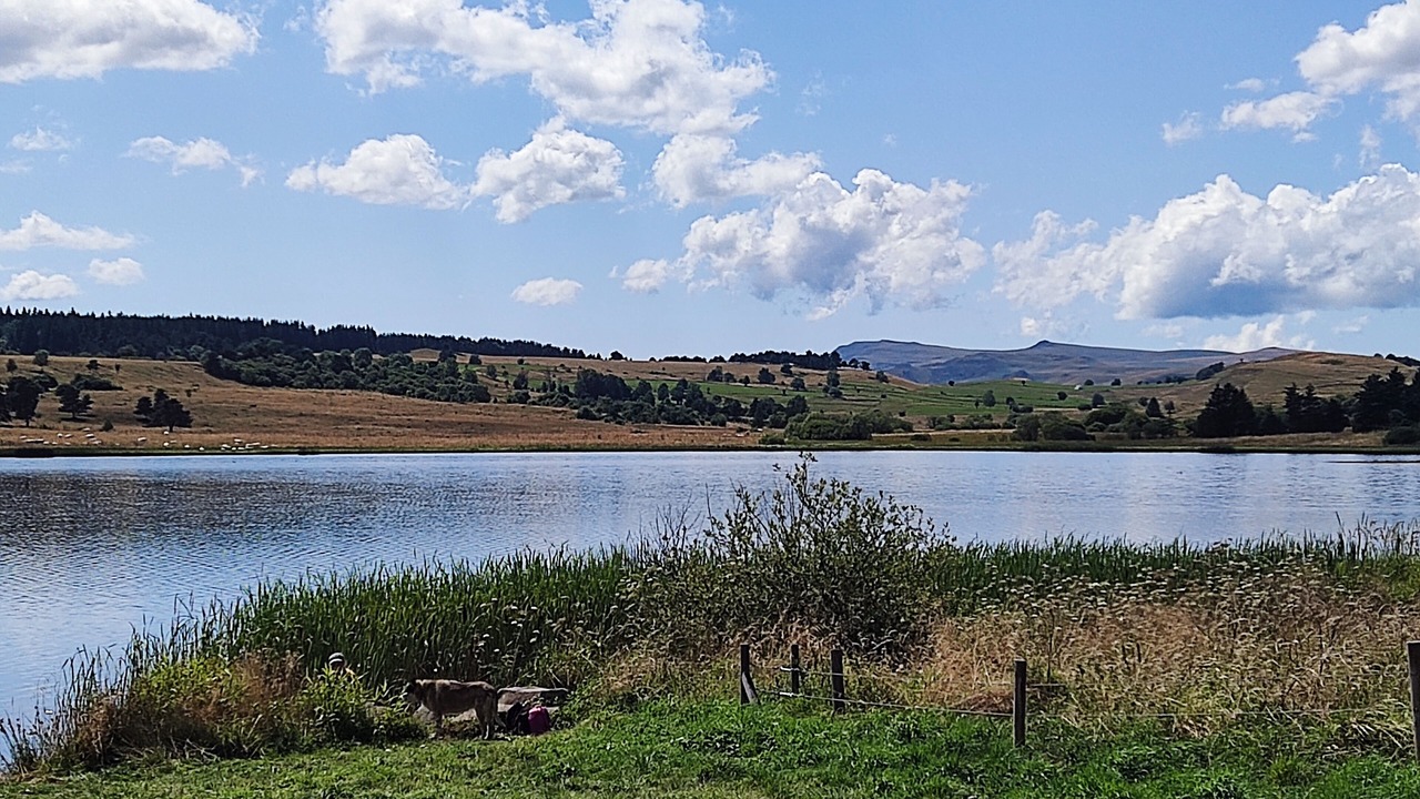 Photo of Others in Chalinargues