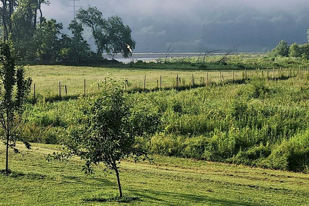 Photo of Outdoor in Metamora