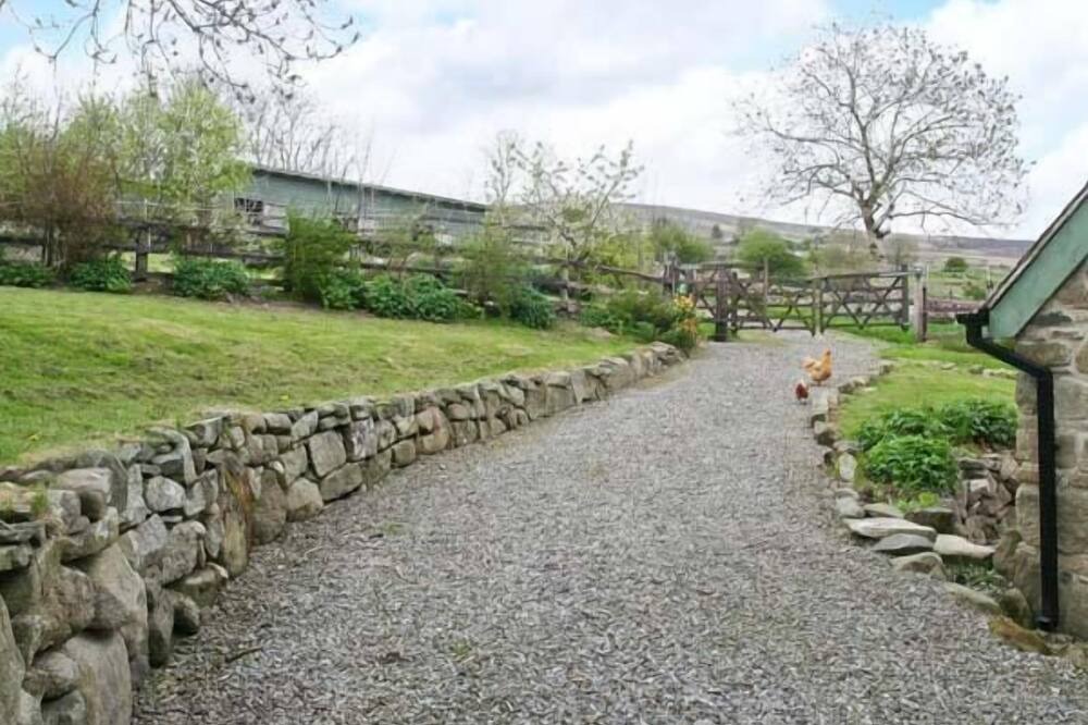 Photo of Outdoor in Blessington