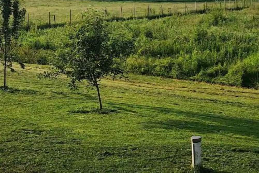 Photo of Others in Metamora