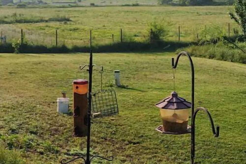 Photo of Outdoor in Metamora