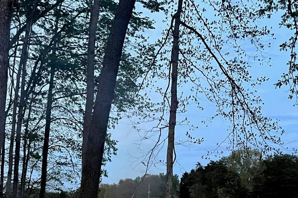 Photo of Outdoor in North Shore