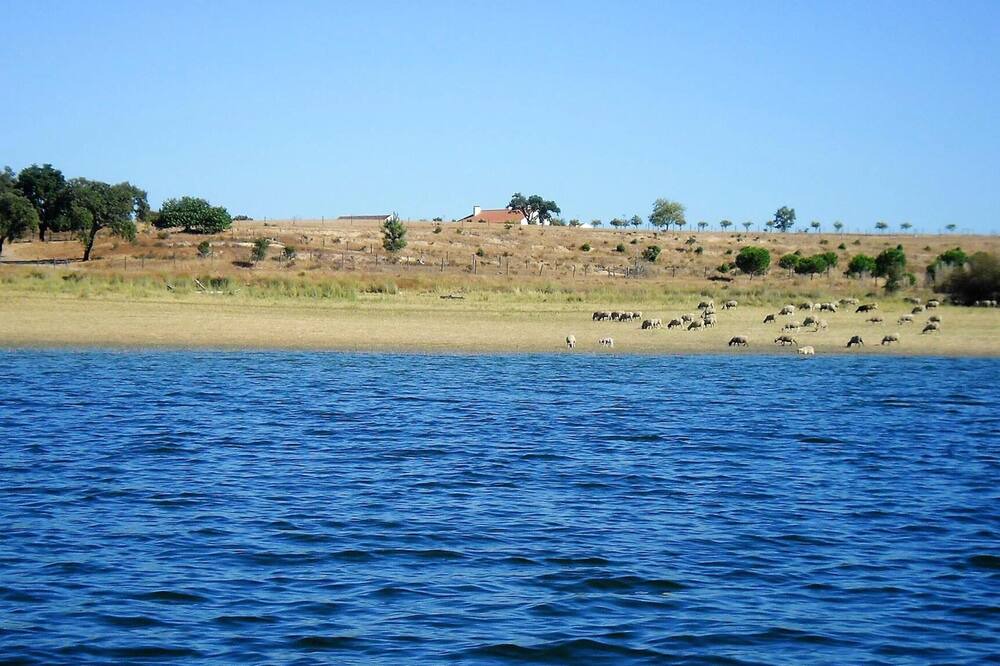 Photo of Others in Montargil