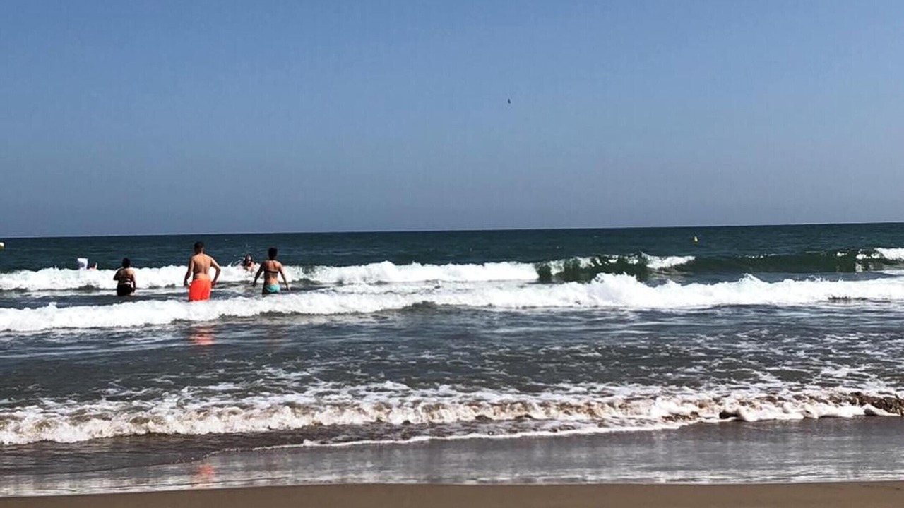 Photo of Others in Playa Pobla de Farnals