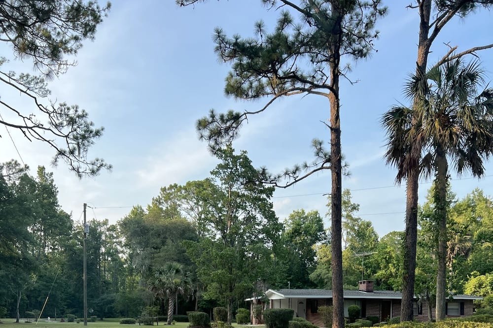 Photo of Outdoor in Crawfordville