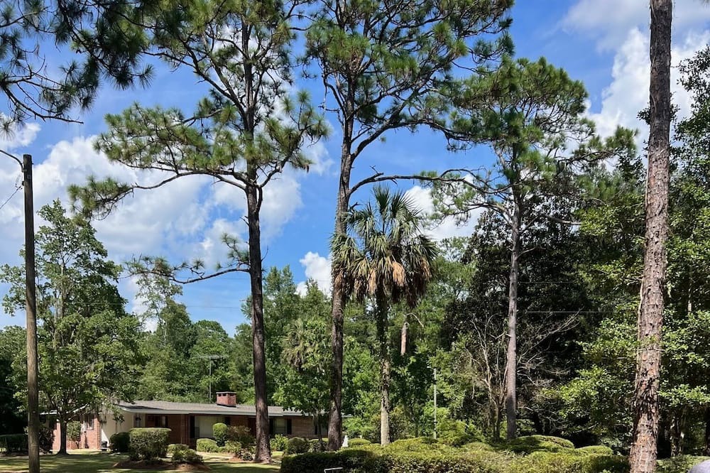 Photo of Outdoor in Crawfordville