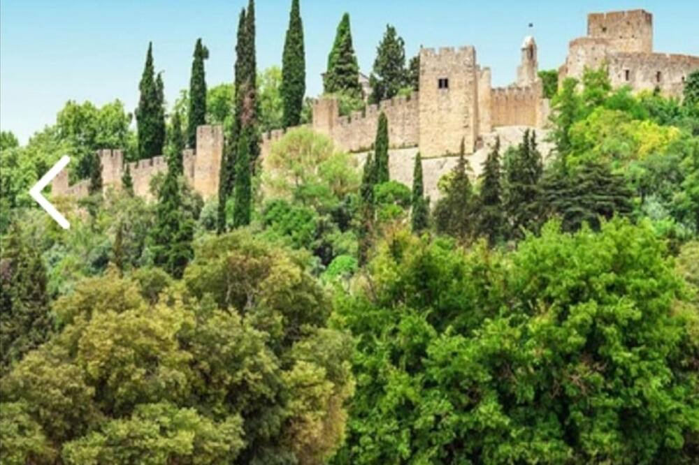 Photo of Others in Tomar