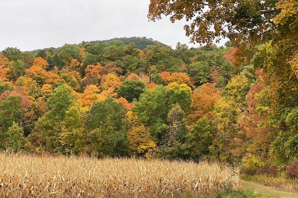 Photo of Outdoor in Canaan