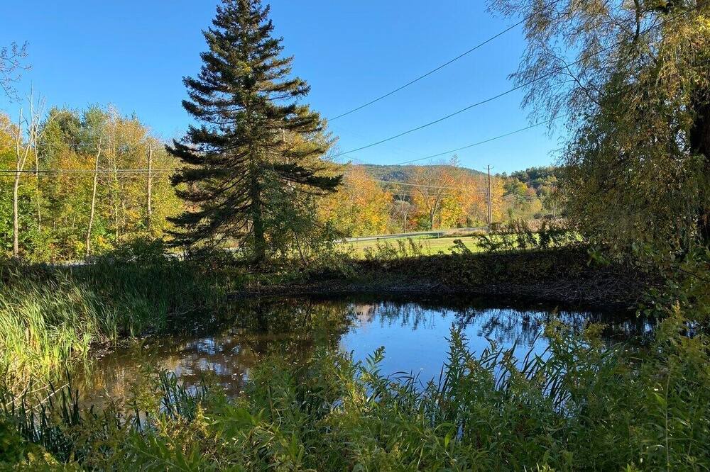 Photo of Outdoor in Canaan