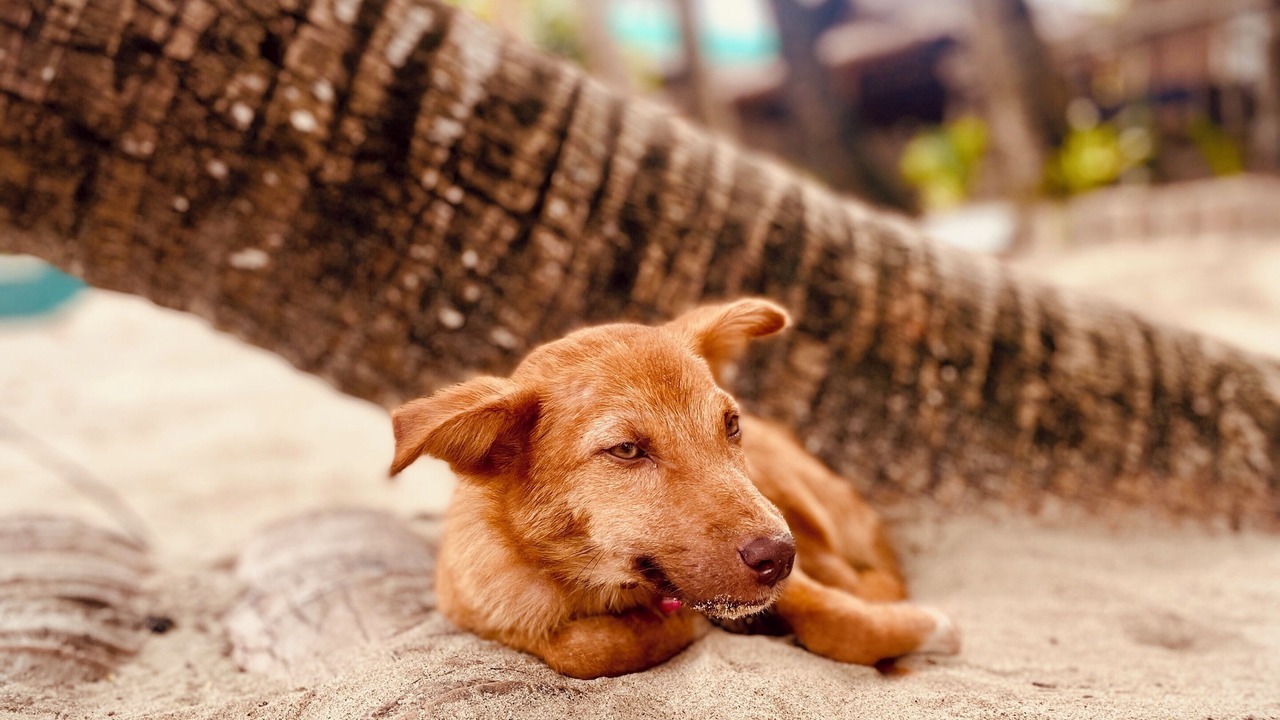 Photo of Outdoor in El Nido