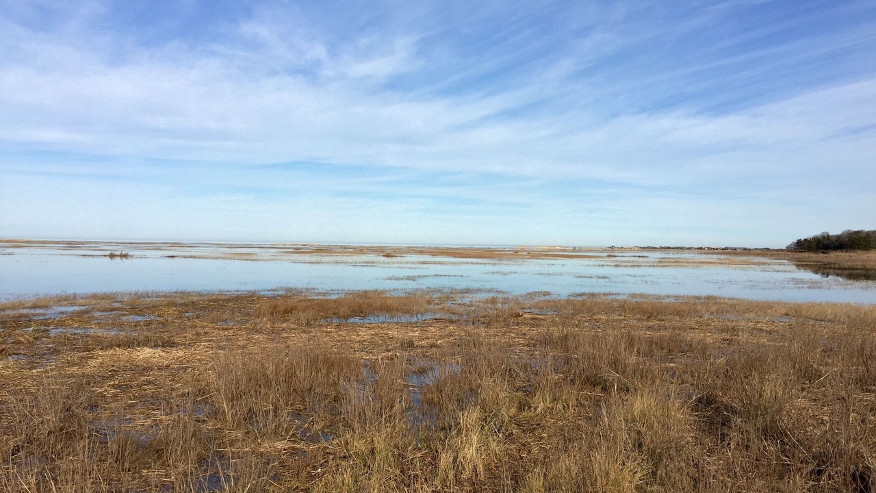 Photo of Outdoor in Yarmouth Port