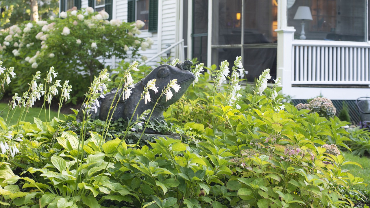 Photo of Outdoor in Yarmouth Port