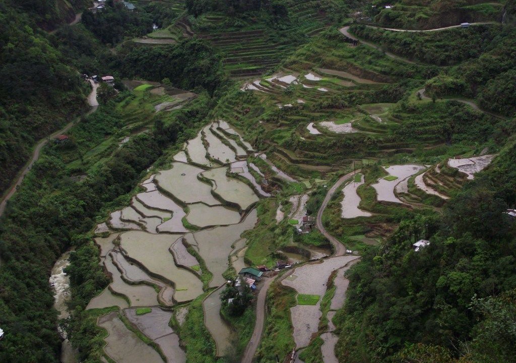 Photo of Others in Banaue