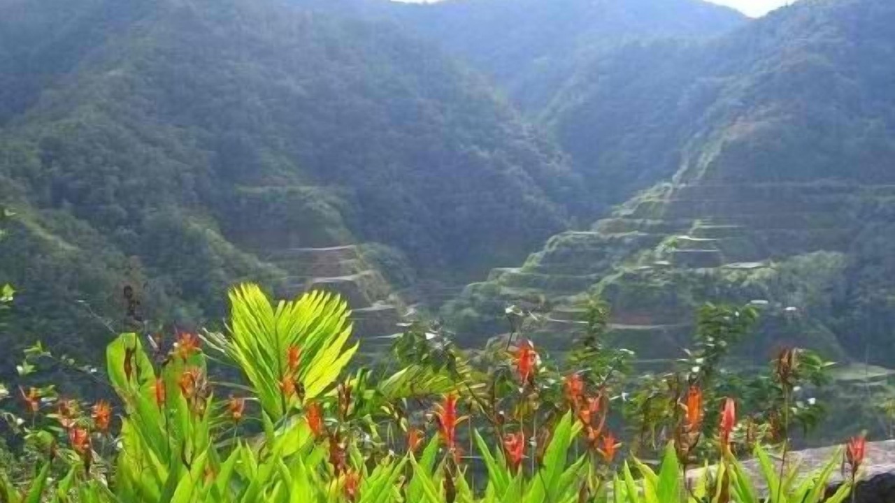 Photo of Outdoor in Banaue