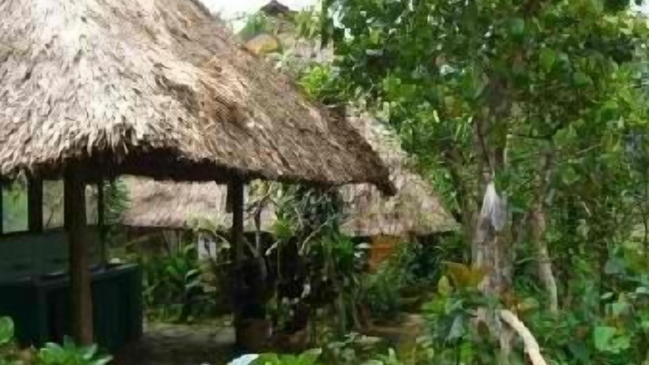 Photo of Outdoor in Banaue