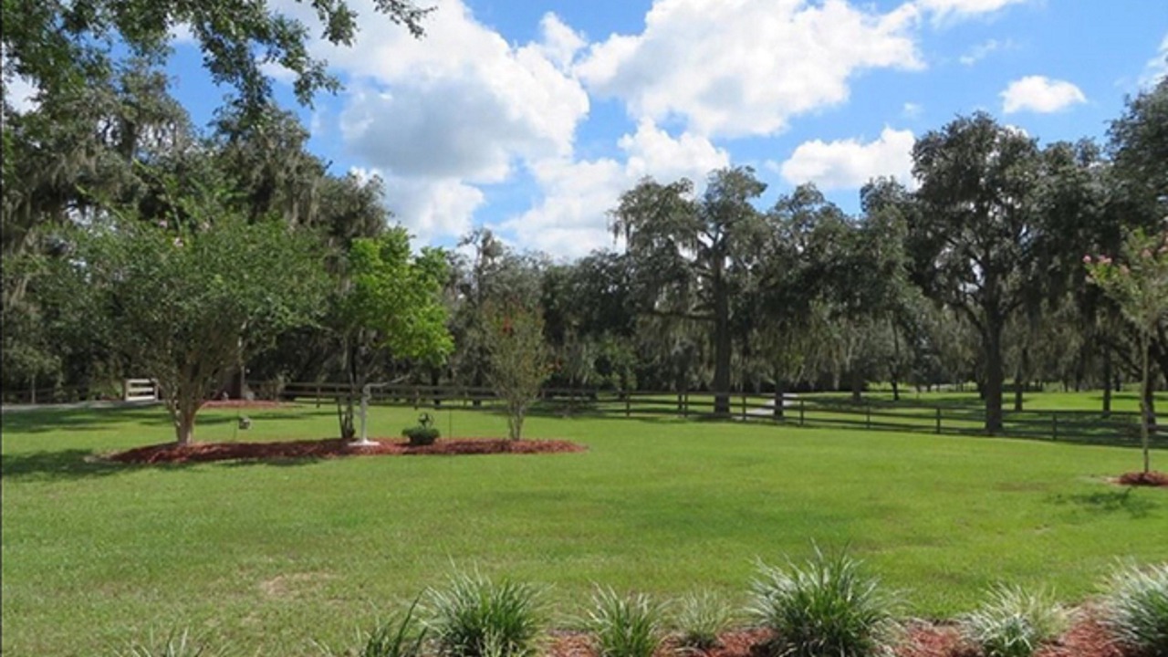 Photo of Outdoor in Floral City