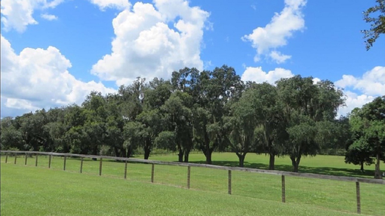 Photo of Outdoor in Floral City