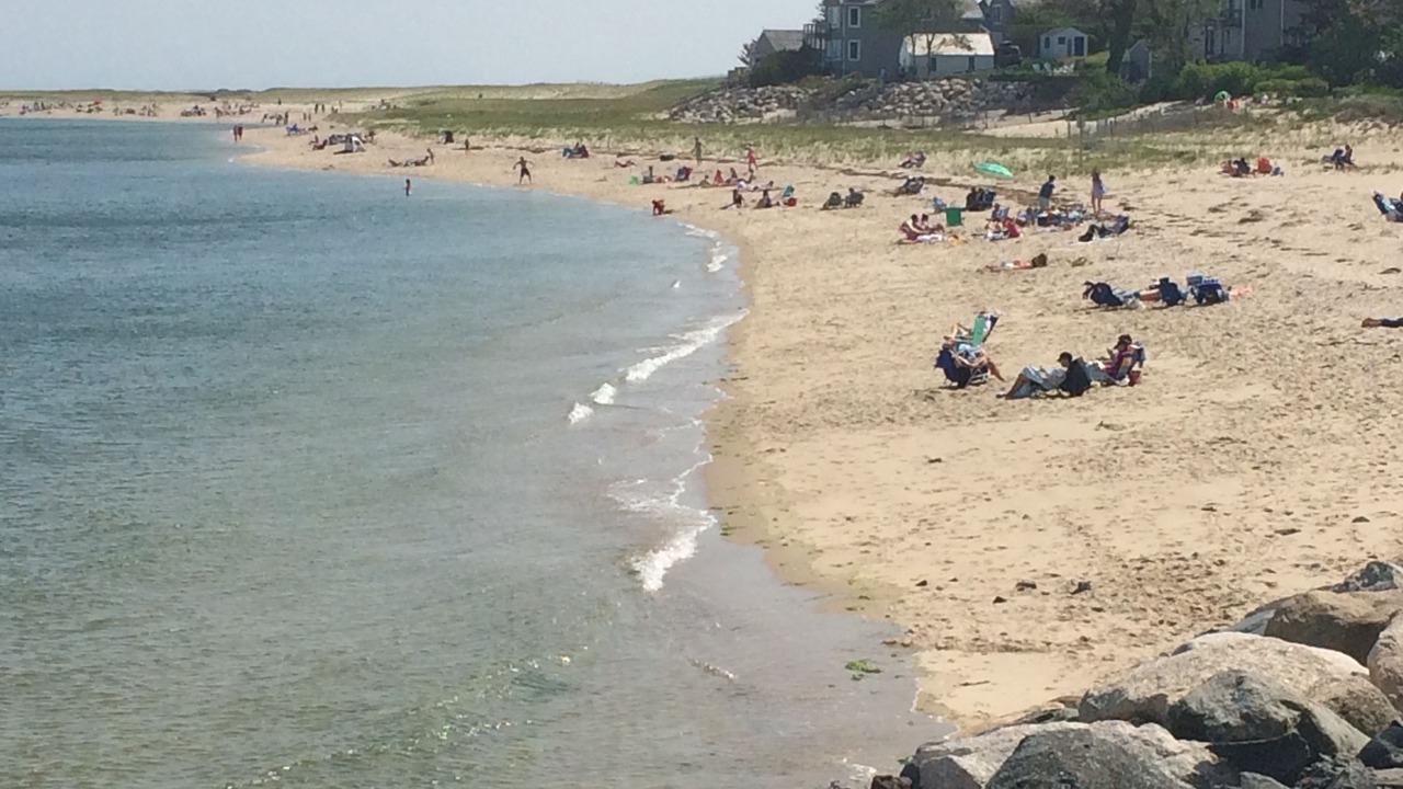 Photo of Others in Chatham