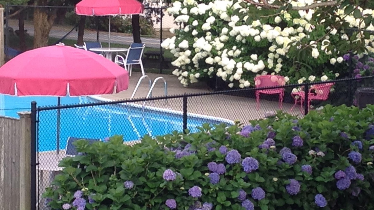 Photo of Outdoor in East Orleans