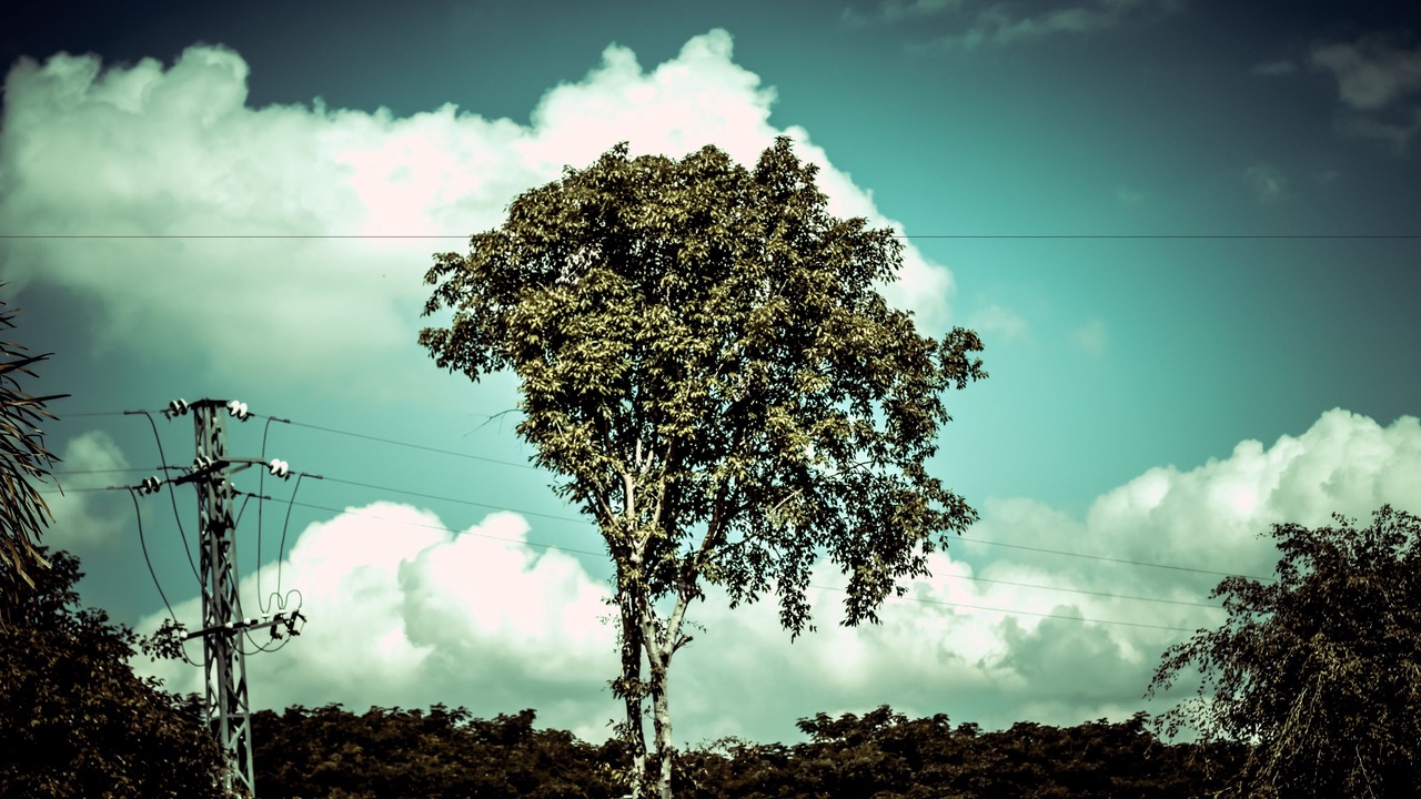 Photo of Outdoor in Jinghong