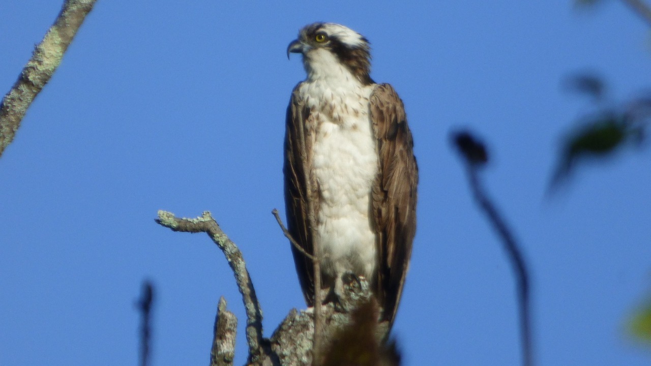Photo of Outdoor in South Berwick