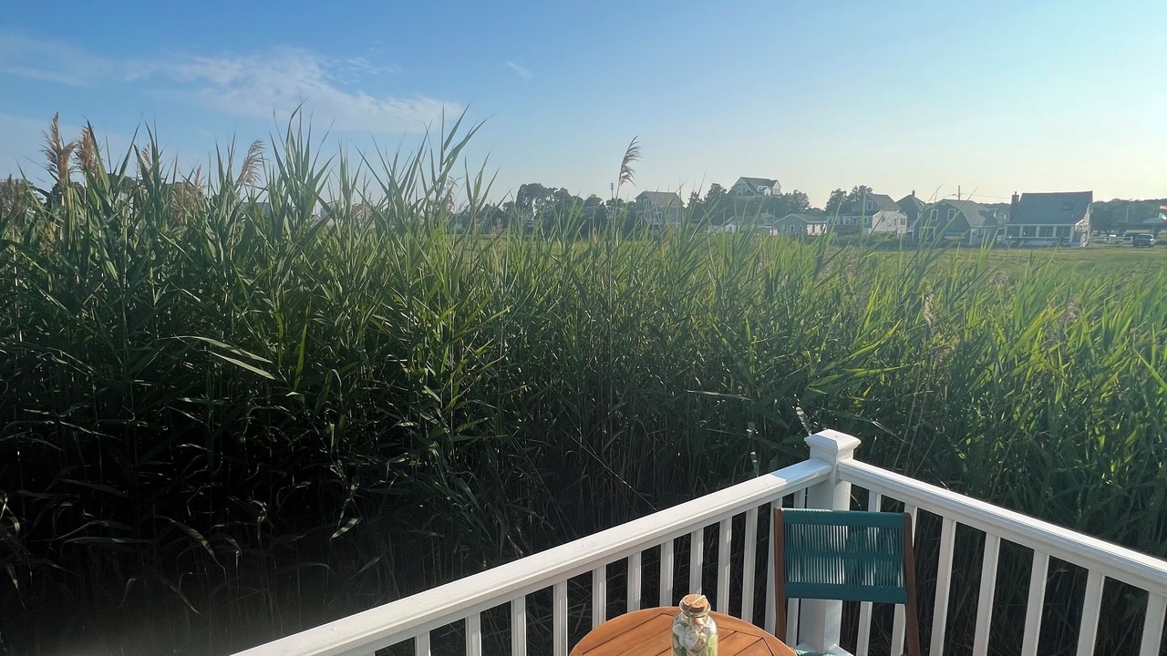 Photo of Outdoor in Brant Rock