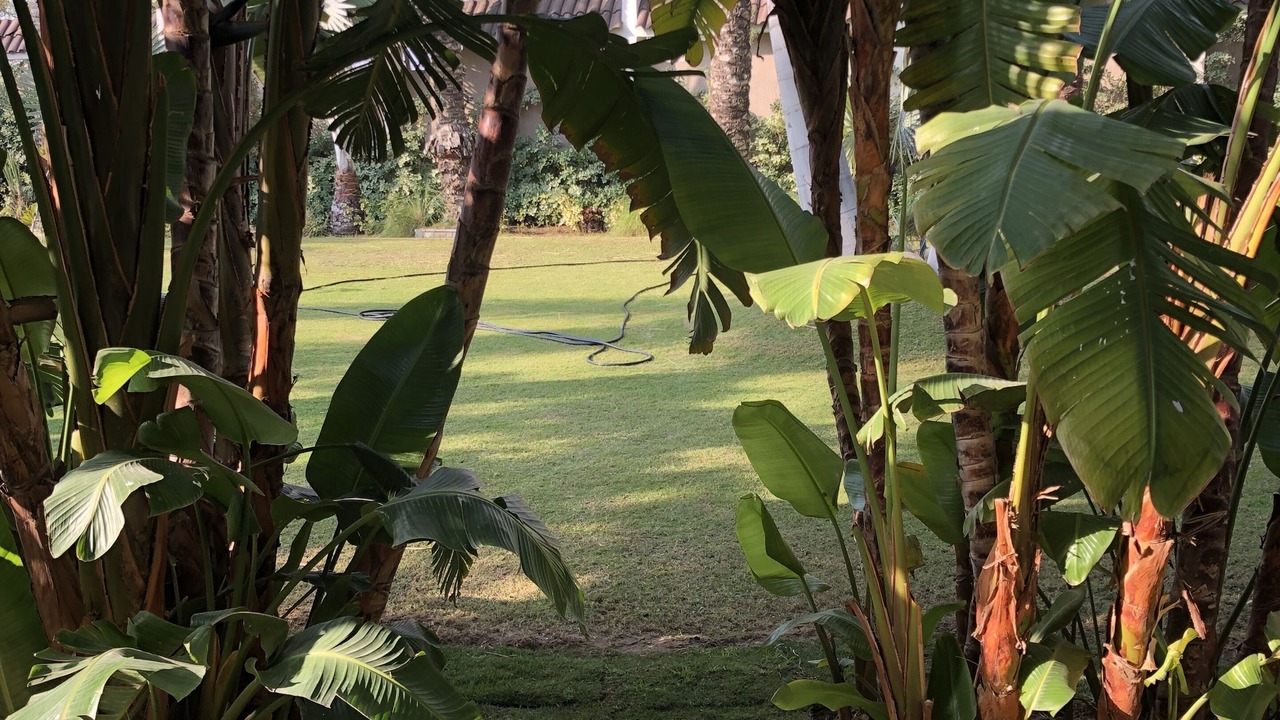 Photo of Outdoor in Al-'Amriyah