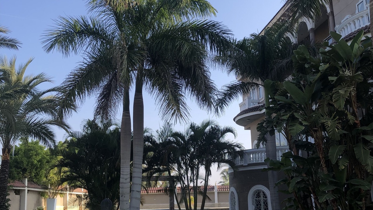 Photo of Outdoor in Al-'Amriyah