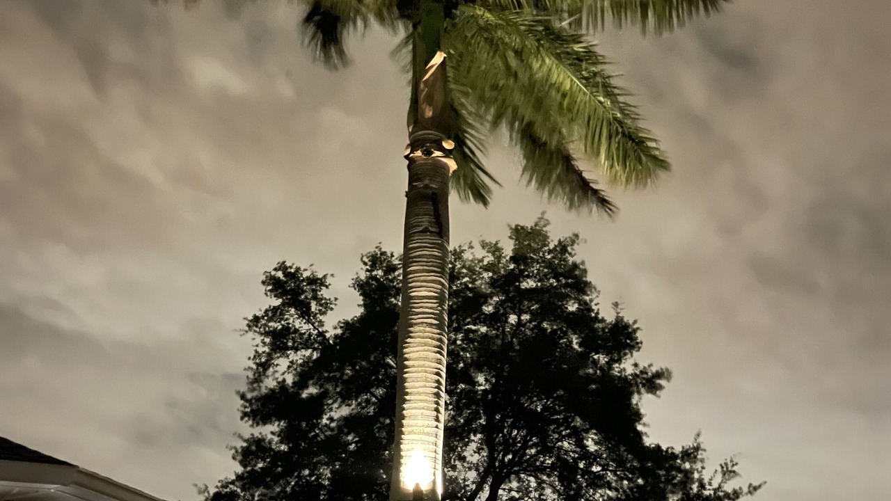 Photo of Outdoor in Jacarandas