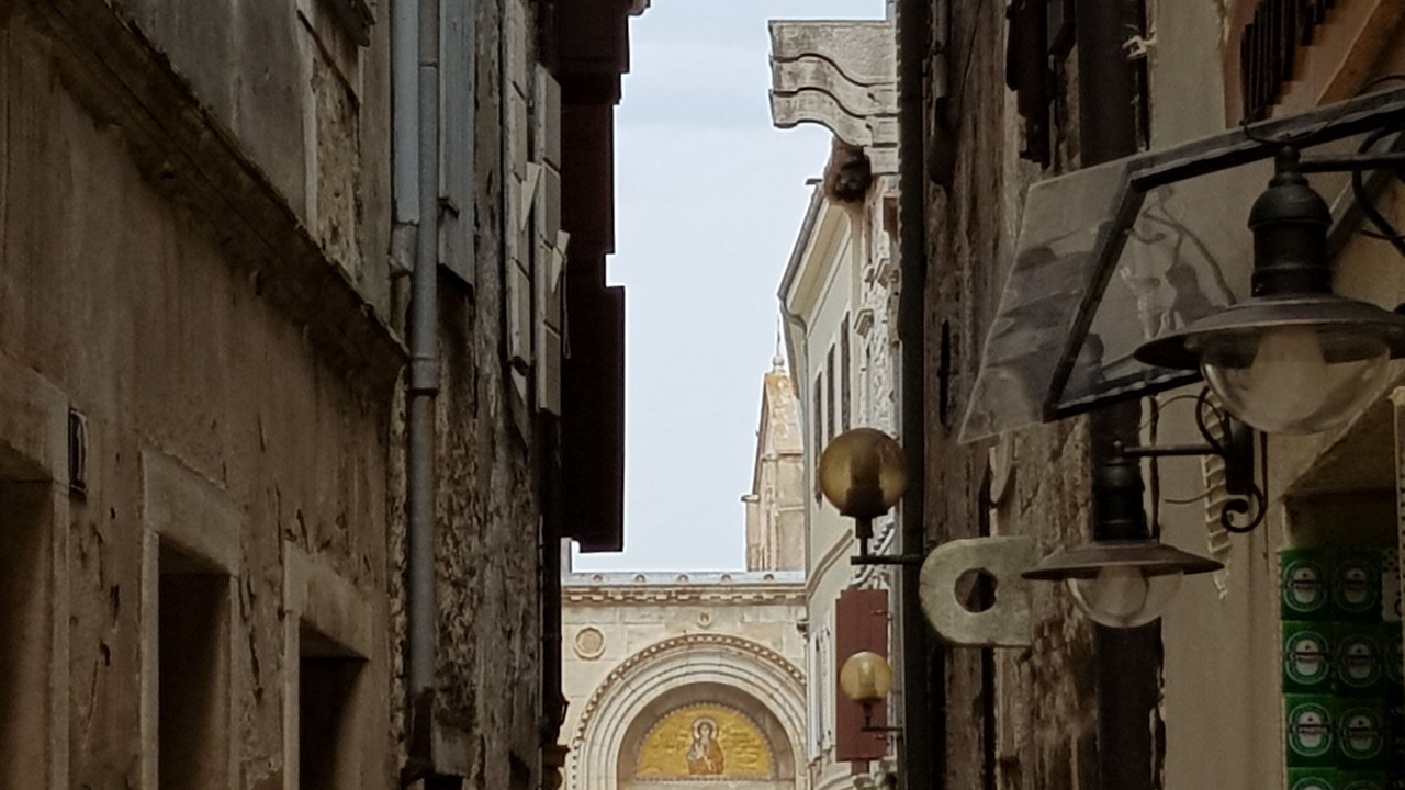 Photo of Outdoor in Spadici
