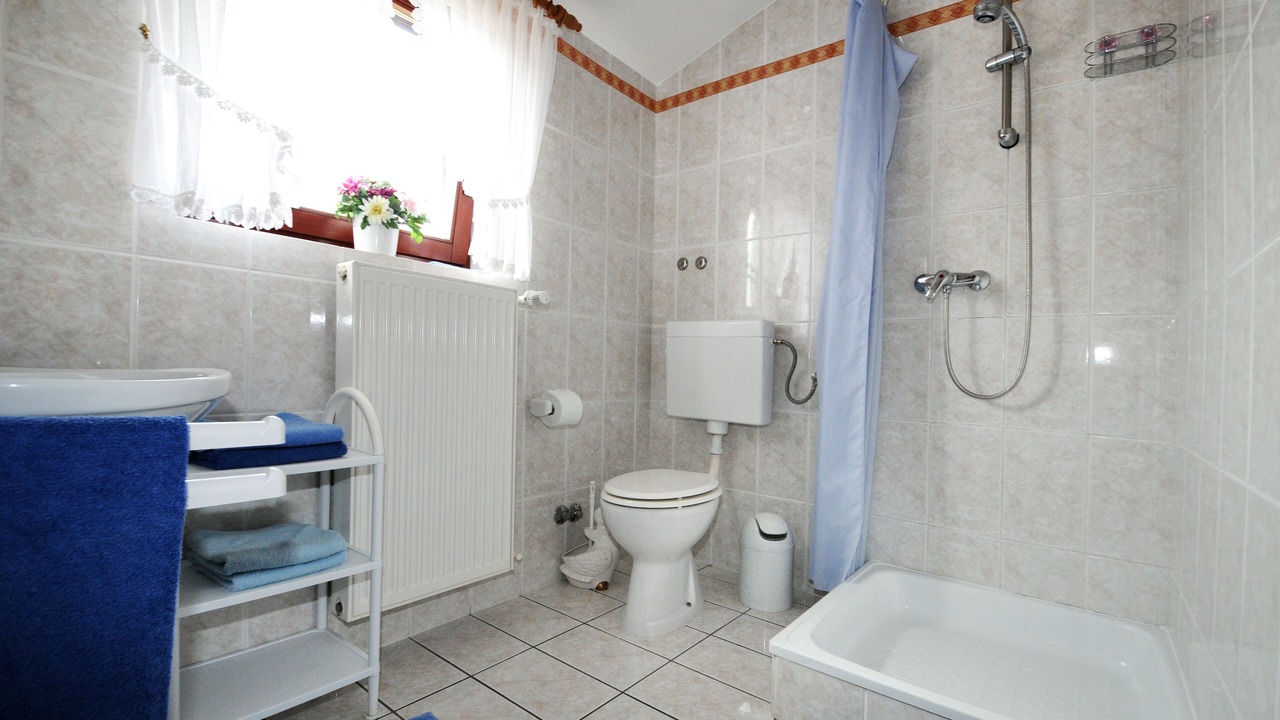 Photo of Bathroom in Spadici