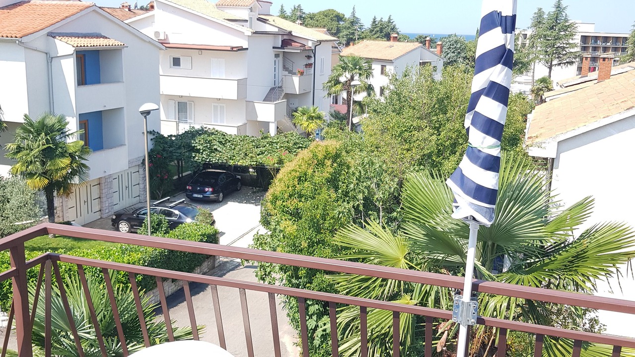 Photo of Outdoor in Spadici