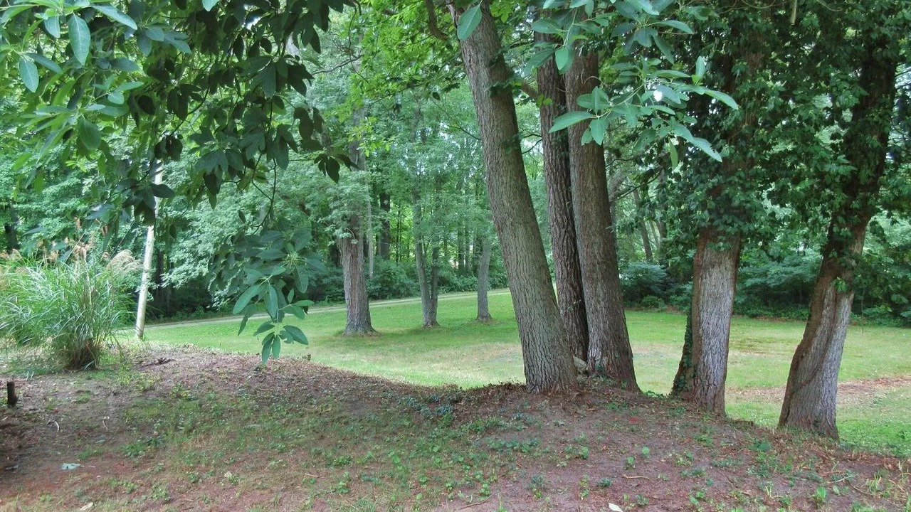 Photo of Outdoor in Wheeler