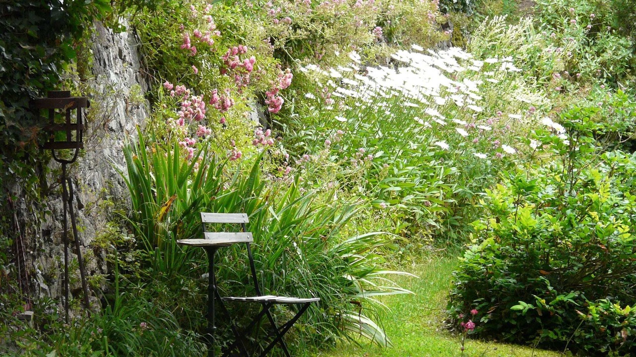 Photo of Outdoor in Saint-Nectaire