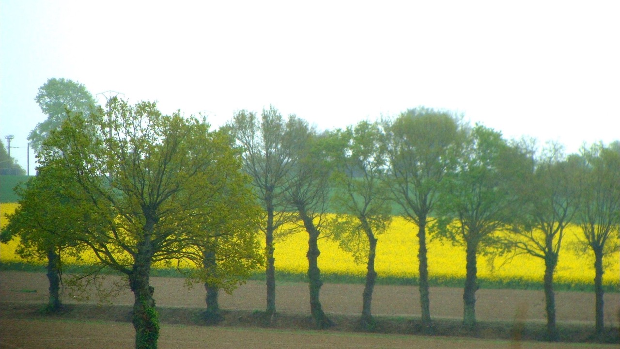 Photo of Outdoor in Saint-Alban