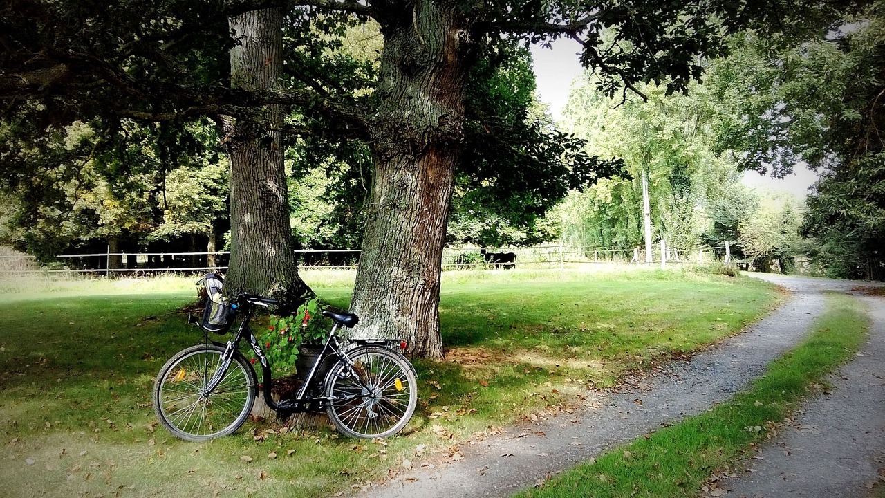Photo of Outdoor in Saint-Alban