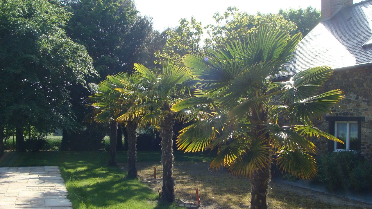 Photo of Outdoor in Lamballe