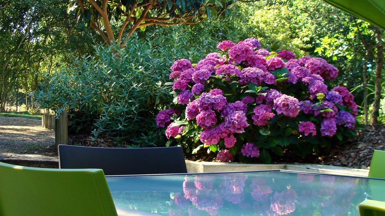 Photo of Outdoor in Lamballe