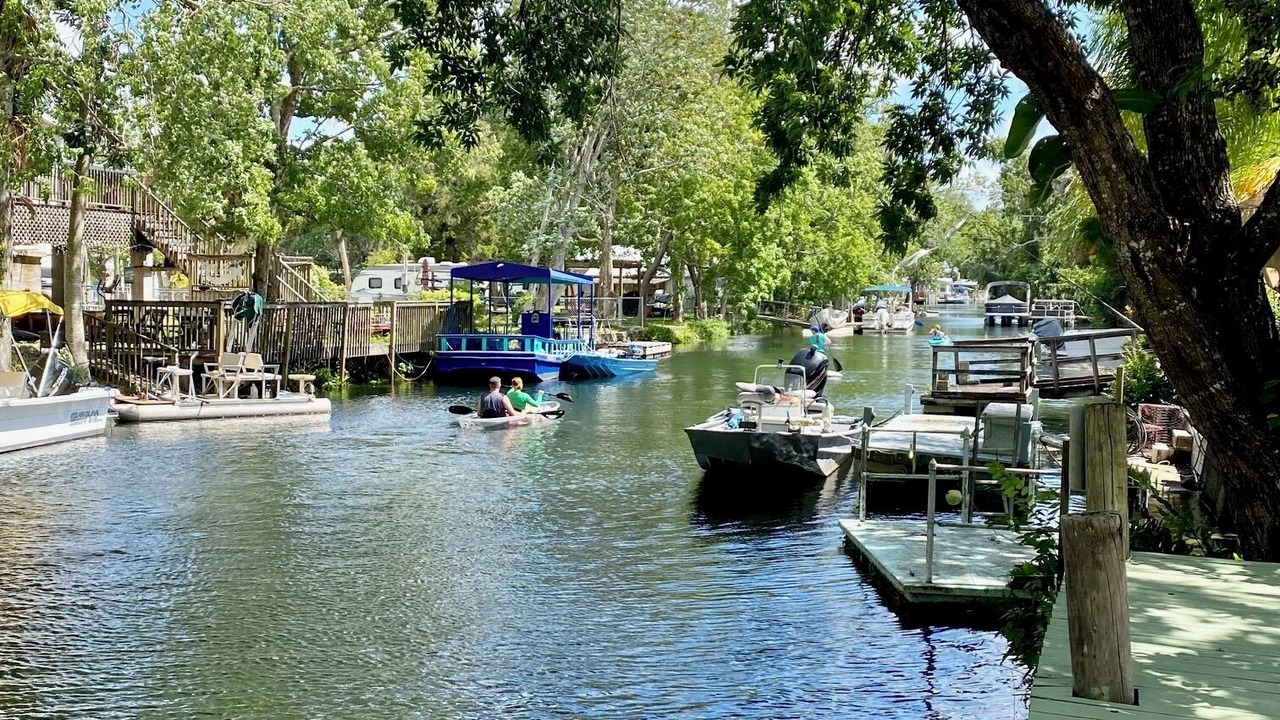 Photo of Others in Weeki Wachee Gardens