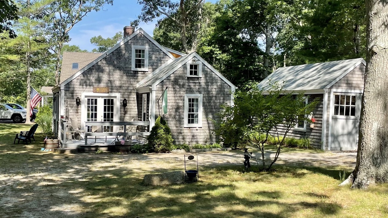 Photo of Outdoor in Cedar Bushes