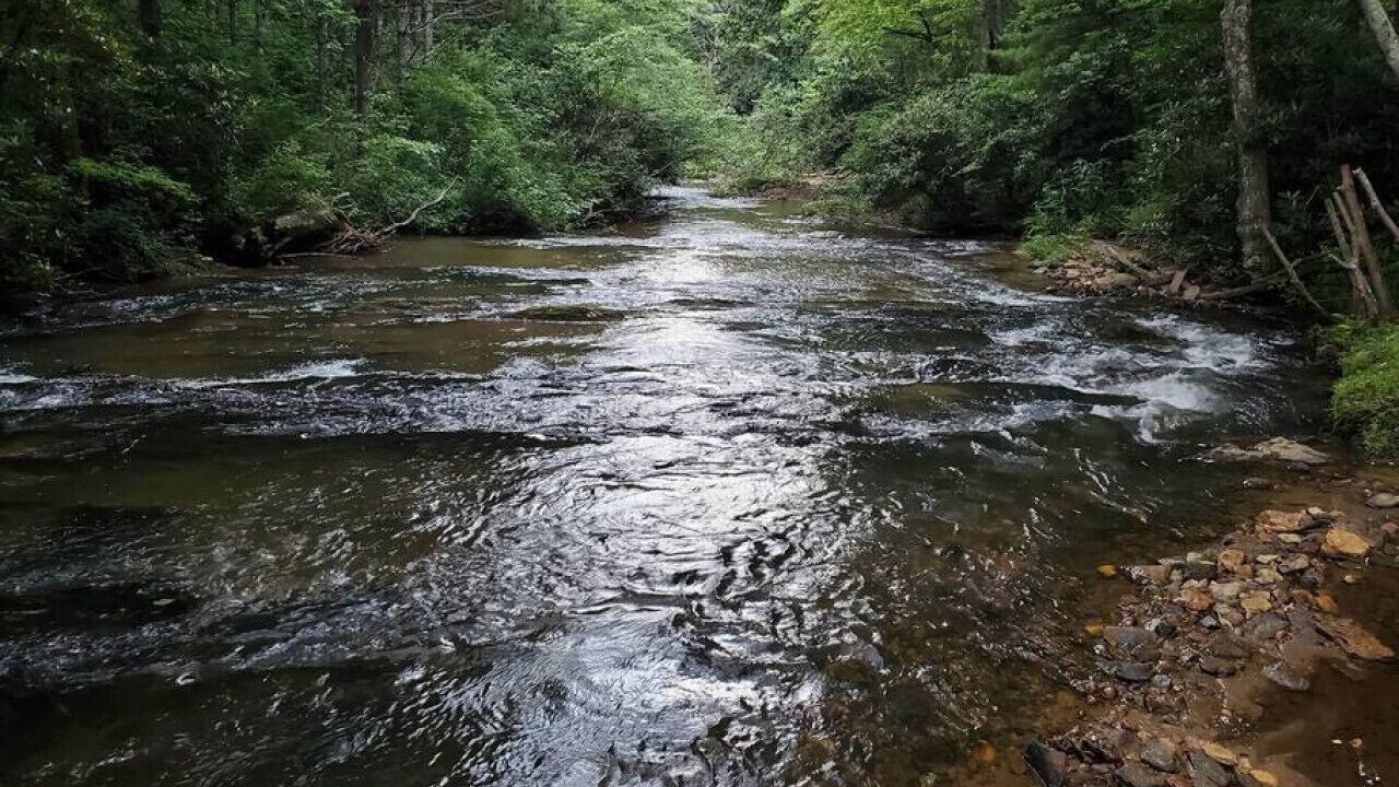 Photo of Others in Piper Gap